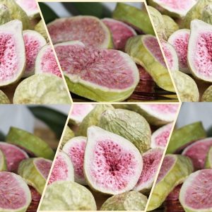 Fig — Freeze-Dried